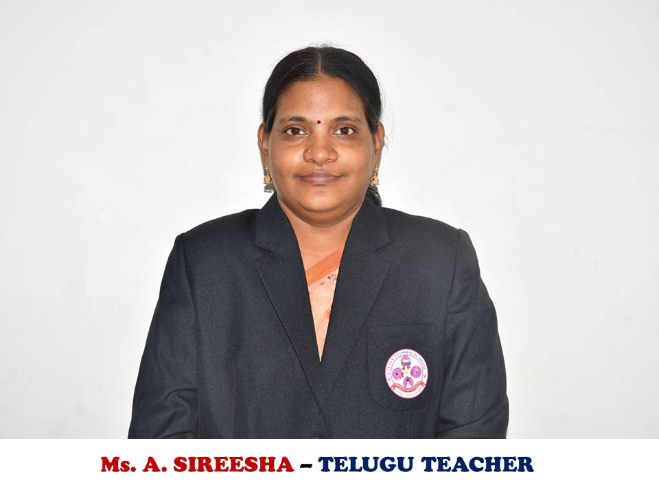 Teacher 